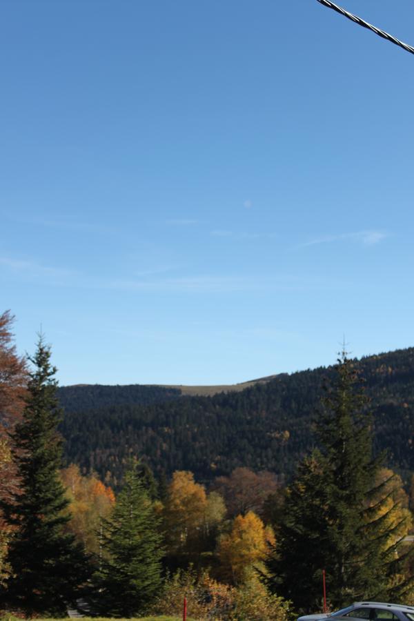 Les Marmottes 2 Etoiles Nn Montferrier